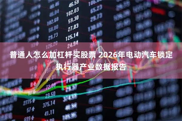 普通人怎么加杠杆买股票 2026年电动汽车锁定执行器产业数据报告